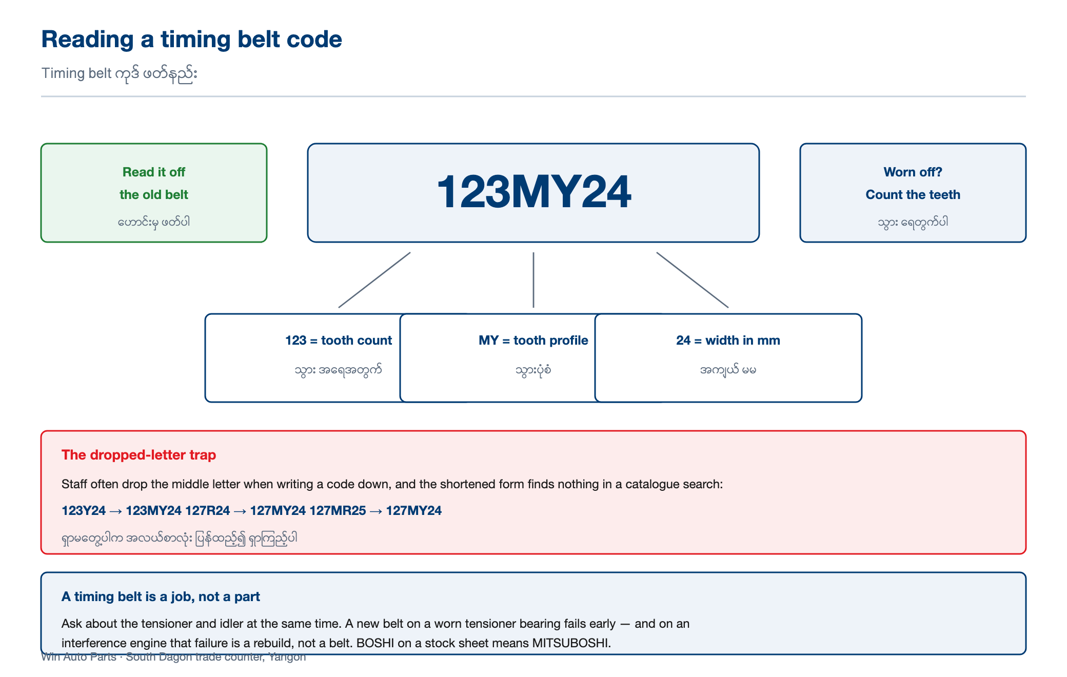 Diagram decoding the timing belt code 123MY24 into 123 teeth, the MY tooth profile and 24 mm width, with advice to read the code off the old belt or count the teeth, and a warning that staff often drop the middle letter so 123Y24 should be searched as 123MY24.